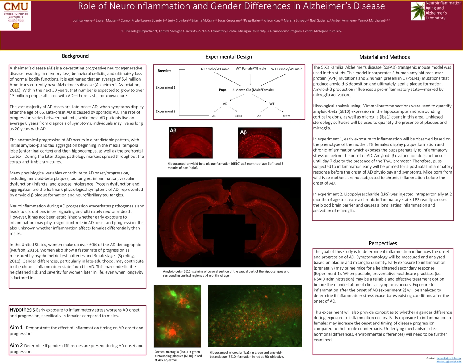 2017 MISfN/SCREE poster: Role of Neuroinflammation and Sex Differences in Alzheimer's Disease