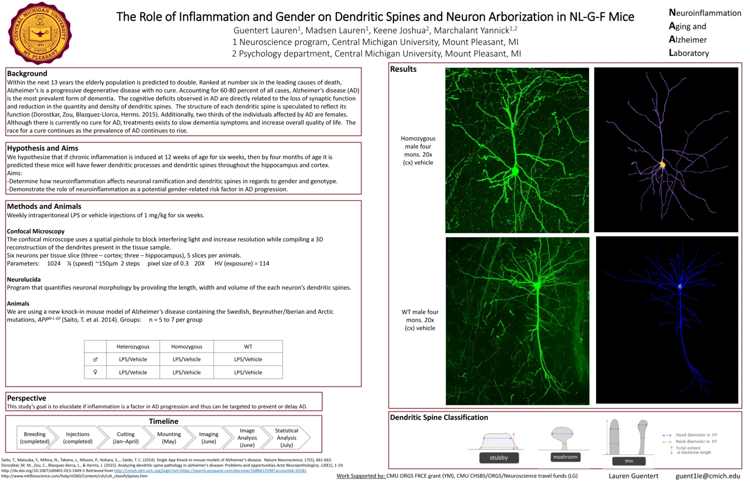 2018 MISfN poster: The Role of Inflammation and Sex on Dendritic Spines and Neuron Arborization in NL-G-F Mice