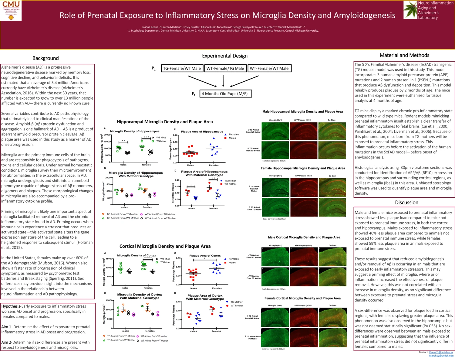 2018 SCREE poster: Role of Prenatal Exposure to Inflammatory Stress on Microglia Density and Amyloidogenesis