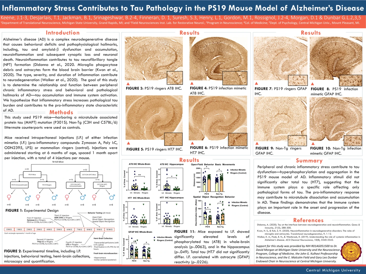 2023 MISfN poster: Inflammatory Stress Contributes to Tau Pathology in the PS19 Mouse Model of Alzheimer's Disease